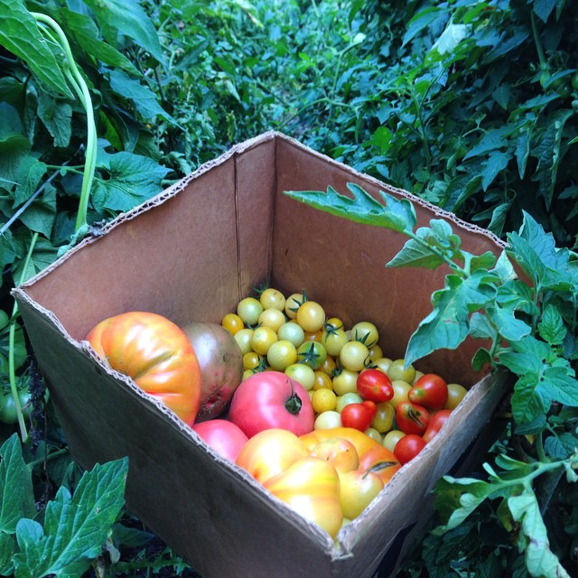 10511200_10100204543300671_132364909734970125_n